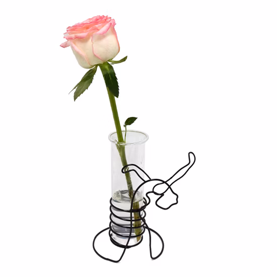 Black Metal with Glass Flower Vase